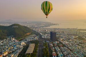 face_hoa-10_aa5ee